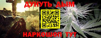 МДПВ Славгород