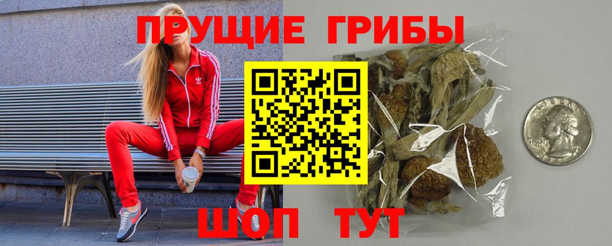 Приморско-Ахтарск  Галлюциногенные грибы GOLDEN TEACHER  Вход с VPN 